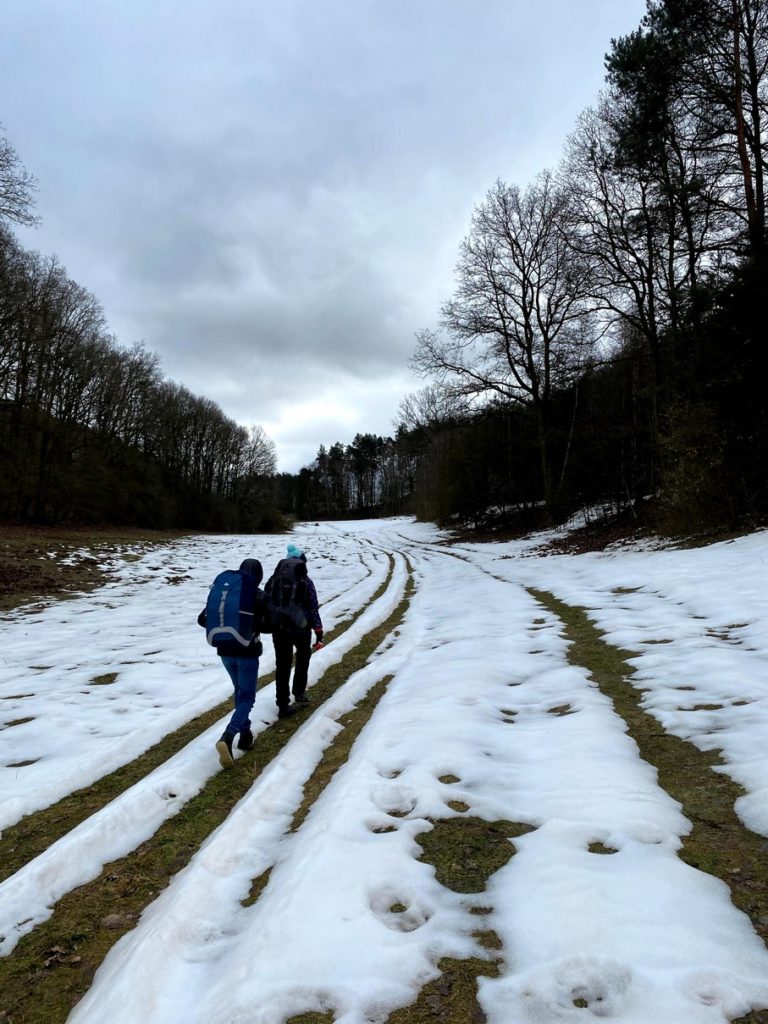 Cesta k Willyho studánce